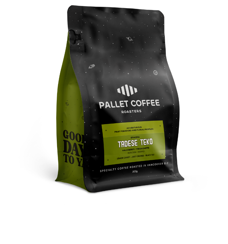 Ethiopia - Tadese Teko - Washed