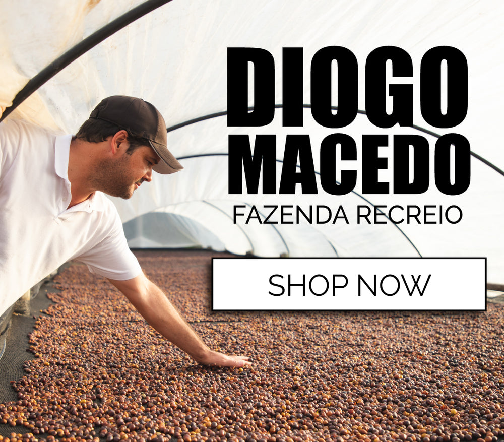 Pallet Coffee Roasters