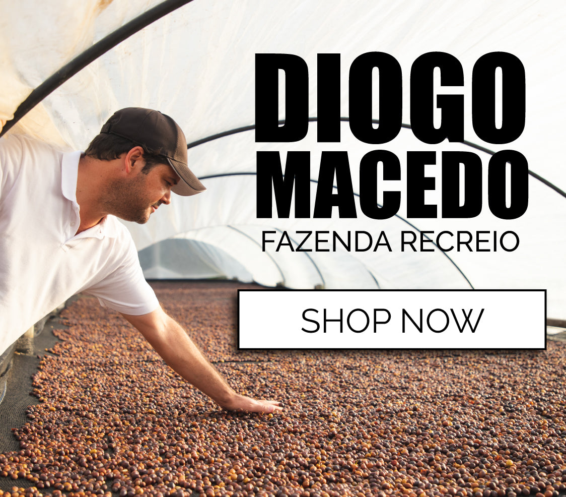 Pallet Coffee Roasters